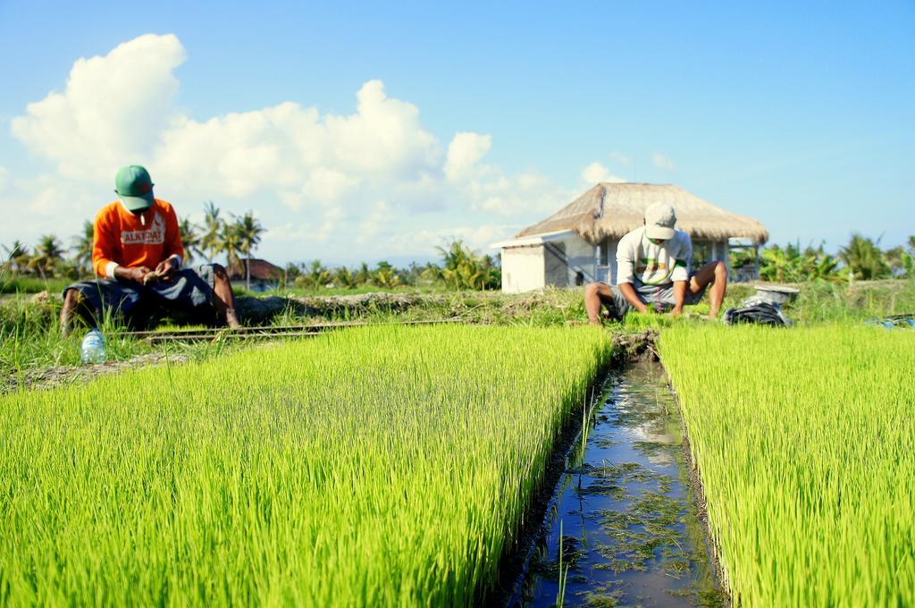 Barn N Bunk Hotel Payangan Exterior foto