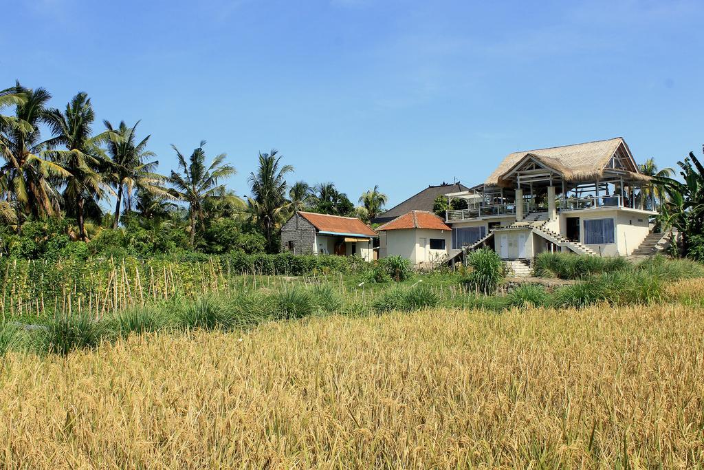 Barn N Bunk Hotel Payangan Exterior foto