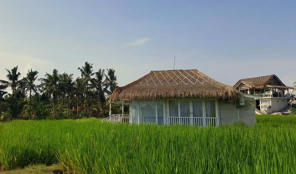 Barn N Bunk Hotel Payangan Exterior foto